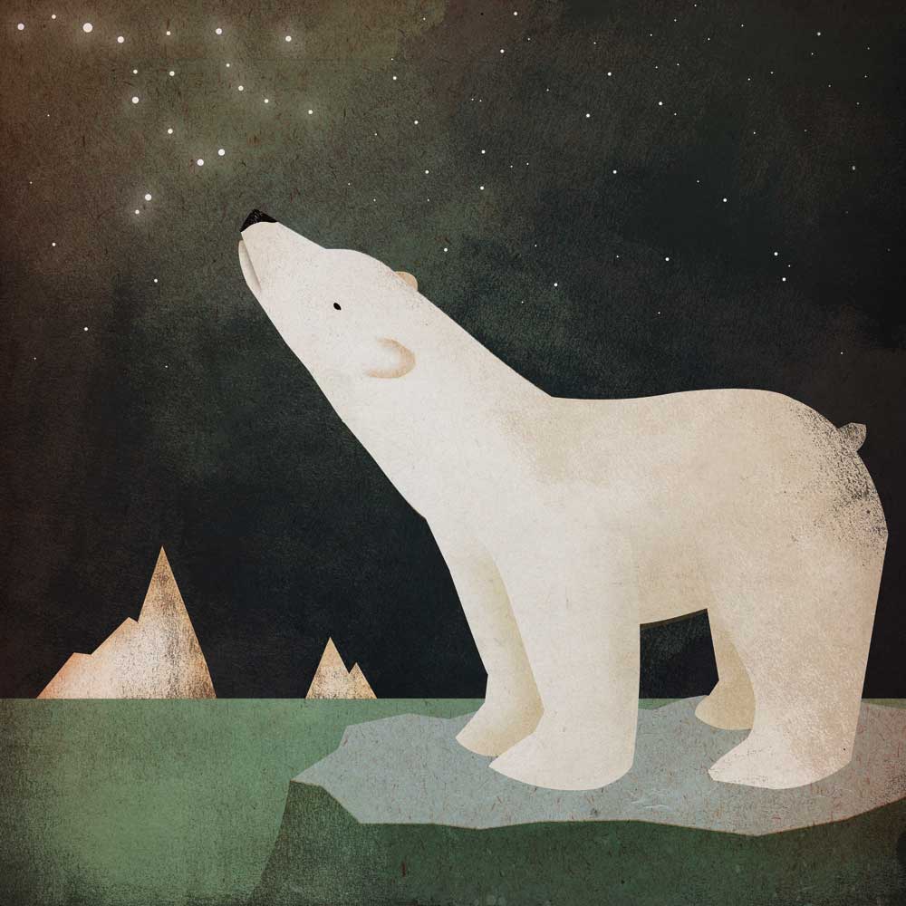 Constellations Polar Bear