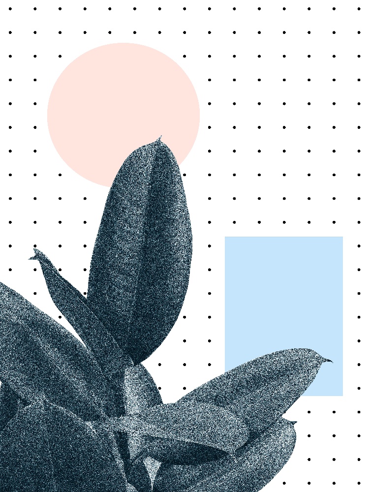 Won?t Waste Another Day