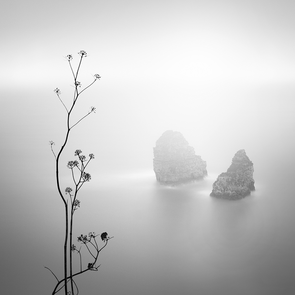 Misty Rocks