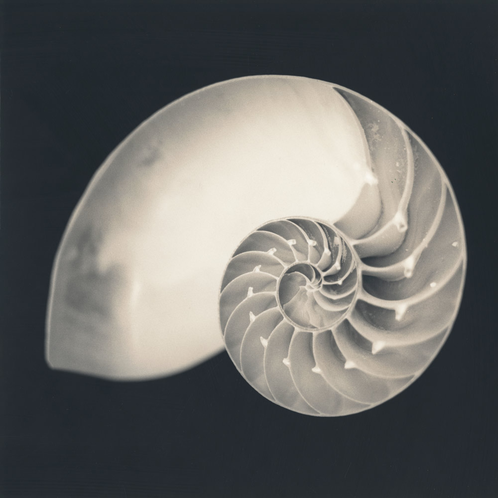 Shell I